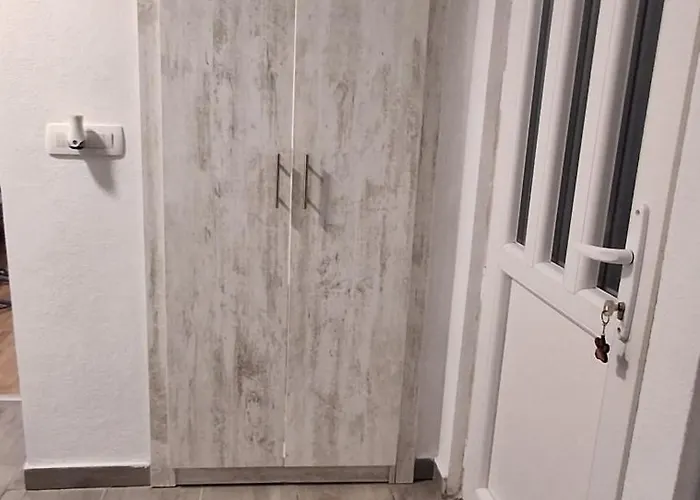 Radule تريبينيي